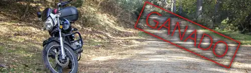 Resolución favorable por supuesto bloqueo a servicios forestales
