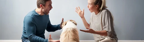 Custodia compartida de un animal de compañía en caso de separación