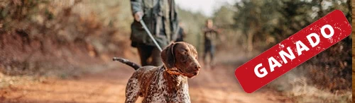Sobreseimiento de sanción por caza sin tener los permisos