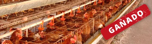 Nulidad de resolución interpuesta por seguridad alimentaria