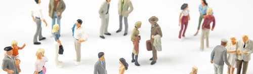 Ley de Servicios Sociales