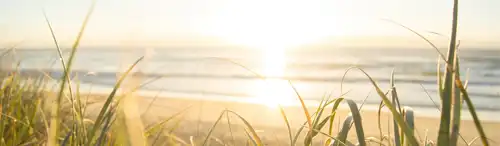 Plazos Laborales en agosto: ¿hábiles o inhábiles? Guía Legal 2023