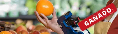 Despido improcedente sin acreditar hechos