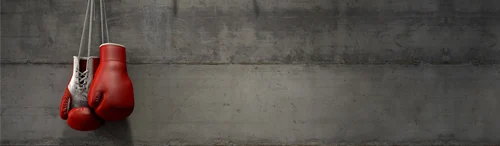 El TSJPV avala el despido de un trabajador por impartir clases de boxeo durante su baja médica