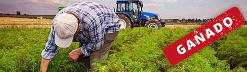 Despido Tácito y Sucesión de Empresa: Victoria Jurídica en el Sector Agropecuario.